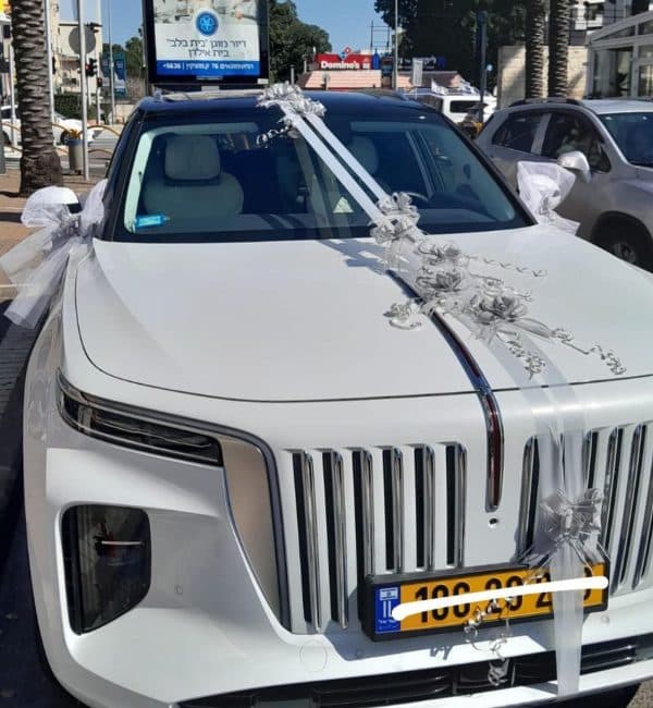 ⁦קישוט רכבים⁩ – תמונה ⁦3⁩