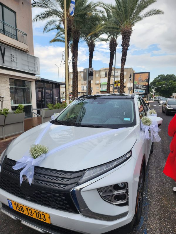 ⁦קישוט רכבים⁩ – תמונה ⁦2⁩