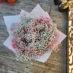 זר עשיר של גיבסניות