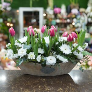 סירה טוליפים