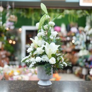 סידור לגובה בלבן